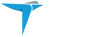 Logotype for Terns Pharmaceuticals Inc