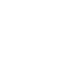 Logotype for Precision Optics Corporation Inc