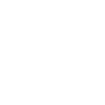 Logotype for Baoshan Iron & Steel Co Ltd