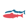 Logotype for Gigante Salmon