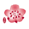 Logotype for China Airlines Ltd