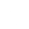 Logotype for Nordic Lights Group Oyj