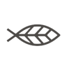Logotype for Icelandic Salmon