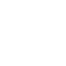Logotype for Alchip Technologies Limited