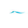 Logotype for Broadpeak Société anonyme