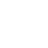 Logotype for Scandinavian Astor Group