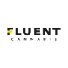 Logotype for FLUENT Corp
