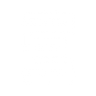 Logotype for EVT Limited