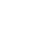 Logotype for Tivan Limited
