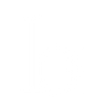 Logotype for Birlasoft Limited