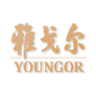 Logotype for Youngor Fashion Co Ltd