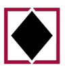 Logotype for Black Diamond Group Limited