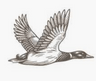 Logotype for The Duckhorn Portfolio Inc