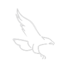 Logotype for Saker Aviation Services Inc